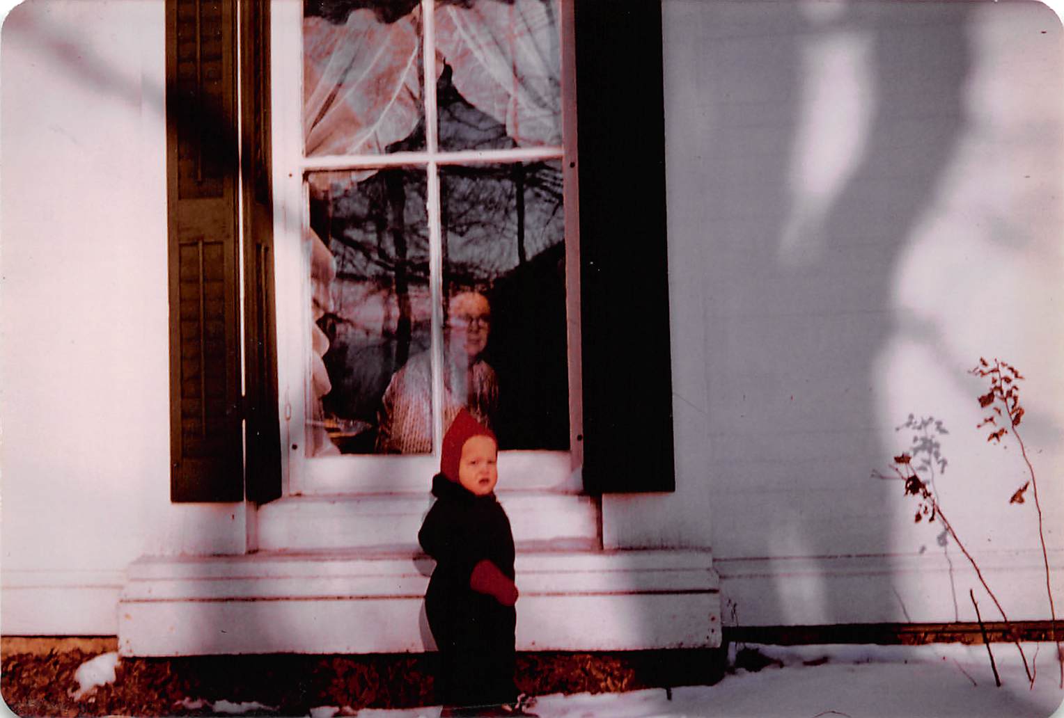 Jerry Window Prepping for Winter